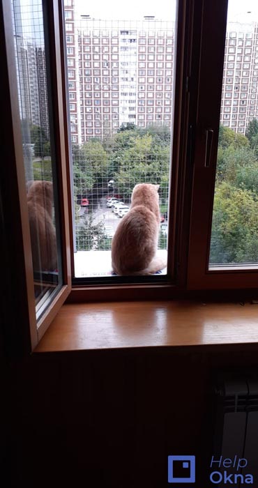 Выгул на окно для кошки